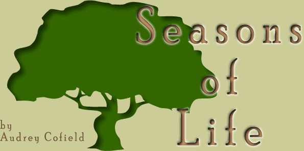 Seasons of Life by Audrey Cofield - Click to Enter